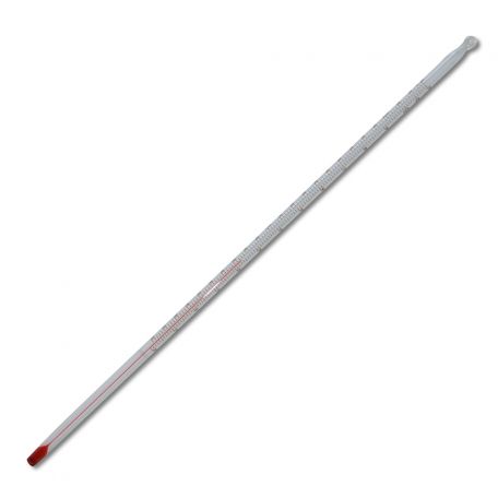 12'' (30cm) Thermometer